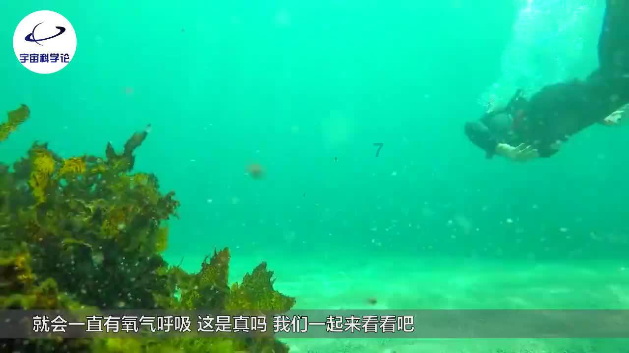 十三号星期五