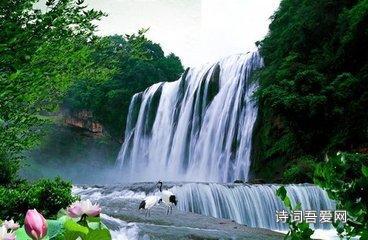 逃离诡异之林