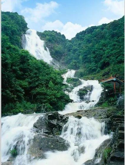 储富祥:2024年林草科研“国家队”将开展五大行动支撑美丽中国建设