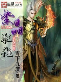 幻想纹章2.1